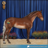 Horse Color:Silver Brown Rabicano 