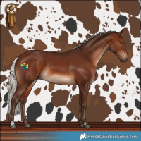 Horse Color:Silver Brown Rabicano 