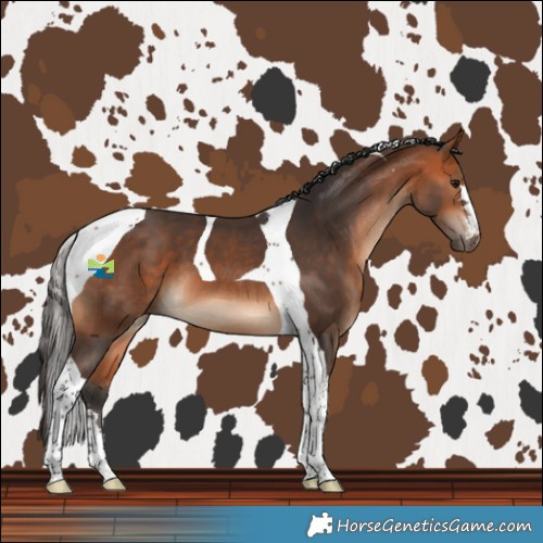 Horse Color:Bay Tobiano 