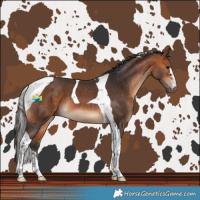 Horse Color:Bay Tobiano 