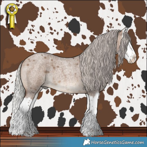 Horse Color:Silver Brown Roan Dun Splash 