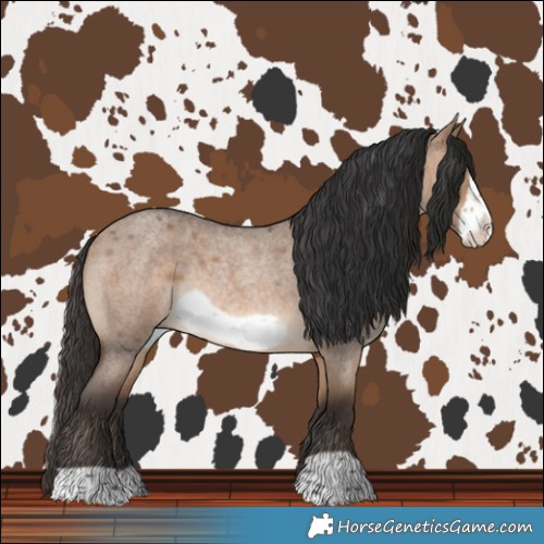 Horse Color:Brown Roan Dun Frame Rabicano 