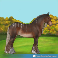 Horse Color:Powder White Liver Chestnut Rabicano