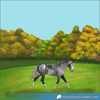 Horse Color:Powder White Gray Silver Brown Splash Blanket