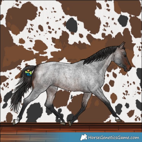 Horse Color:Brown Roan Rabicano 