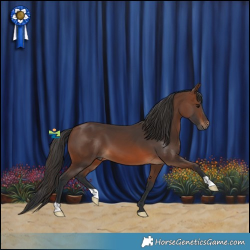 Horse Color:Brown 