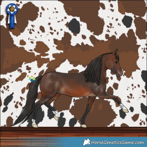 Horse Color:Brown 