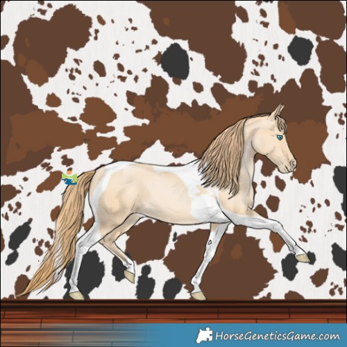 Horse Color:Buckskin Pearl Tobiano 