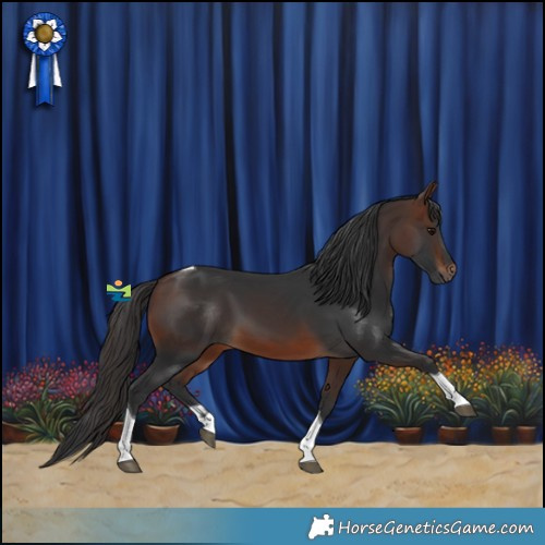 Horse Color:Brown Tobiano 