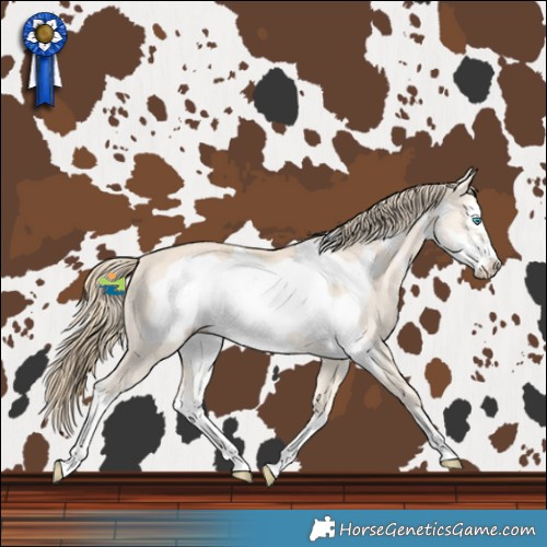 Horse Color:White Spotted Perlino Frame 