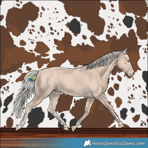 Horse Color:Silver Perlino Rabicano 