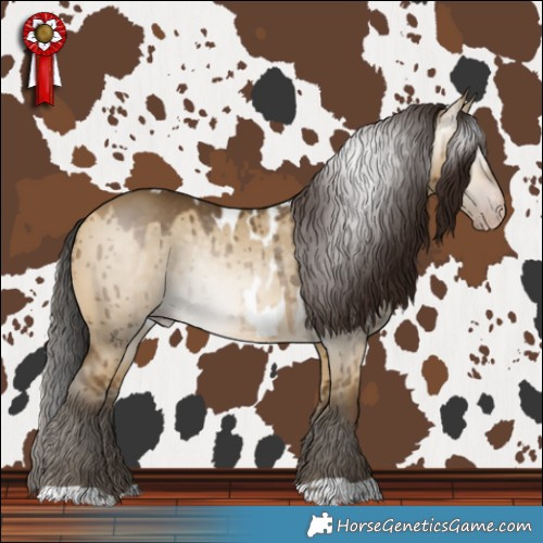 Horse Color:Gray Amber Cream Champagne Dun Skewed LP Spotted Brindle 