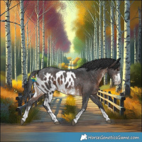Horse Color:Brown Sabino Skewed LP Spotted 