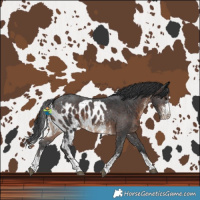 Horse Color:Brown Sabino Skewed LP Spotted 