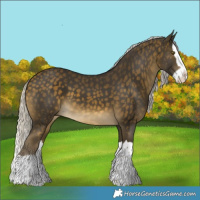 Horse Color:Silver Buckskin Splash