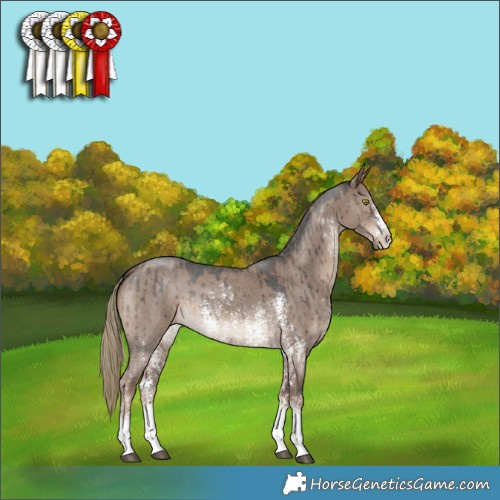 Horse Color:Liver Red Dun Sabino Brindle