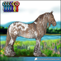 Horse Color:Liver Red Roan Near Leopard  and Liver Red Dun Tobiano Blanket 
