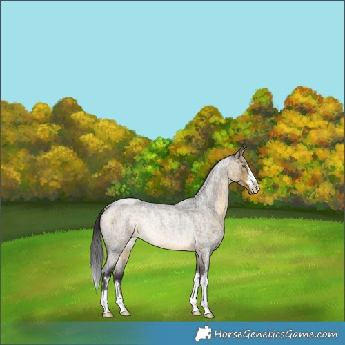 Horse Color:Buckskin Roan Dun Rabicano Brindle 