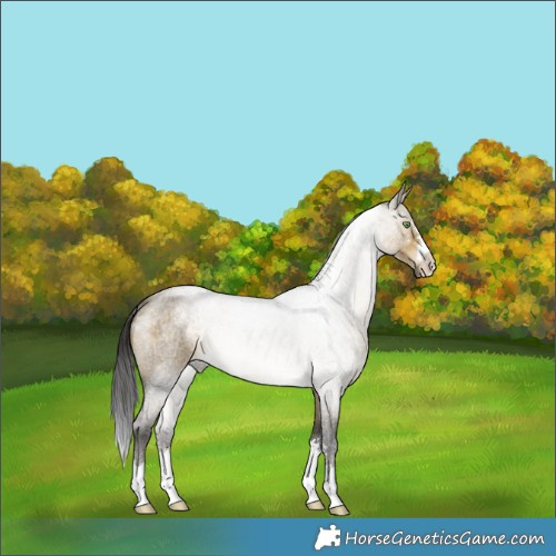 Horse Color:Buckskin Roan Dun Brindle 