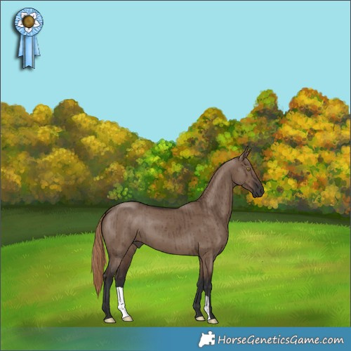 Horse Color:Liver Red Dun Brindle 