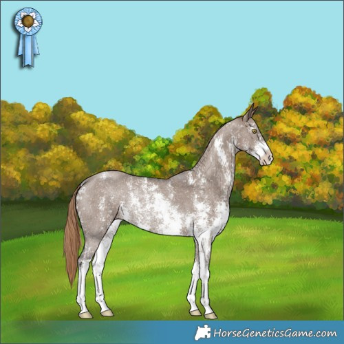 Horse Color:Liver Red Dun Sabino Rabicano 