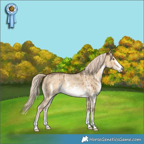 Horse Color:Chocolate Palomino Dun Sabino Rabicano Brindle 