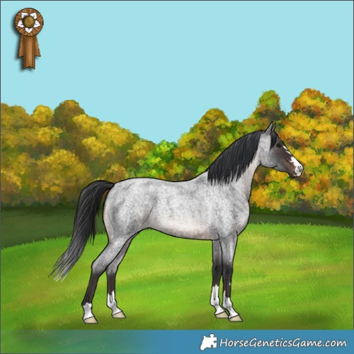 Horse Color:Brown Roan