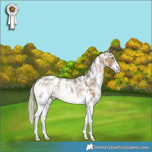 Horse Color:Chocolate Palomino Sabino 
