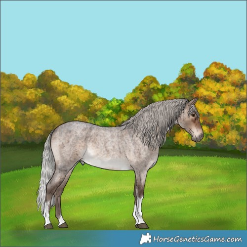 Horse Color:Silver Brown Roan Dun Tobiano Brindle 