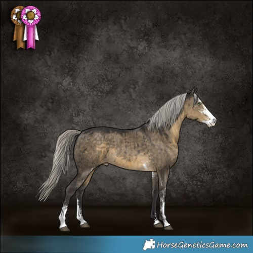 Horse Color:Silver Smoky Grullo Sabino Brindle 