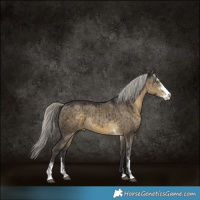 Horse Color:Silver Smoky Grullo Sabino Brindle 