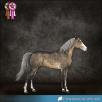 Horse Color:Silver Smoky Grullo Sabino Brindle 