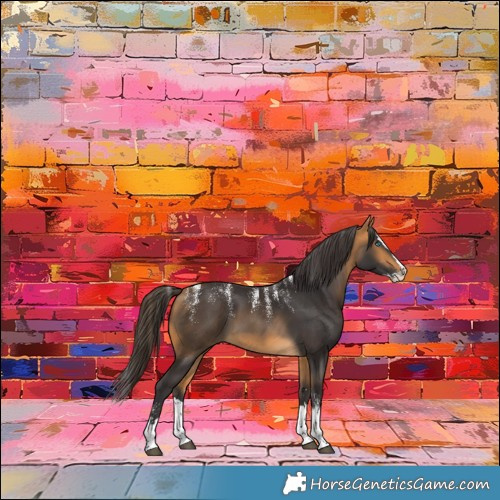 Horse Color:Powder White Buckskin Splash 