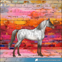 Horse Color:Liver Red Roan Skewed Appaloosa