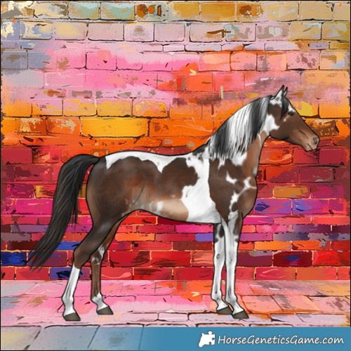 Horse Color:Liver Chestnut Tobiano Skewed Appaloosa 