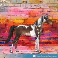 Horse Color:Liver Chestnut Tobiano Skewed Appaloosa