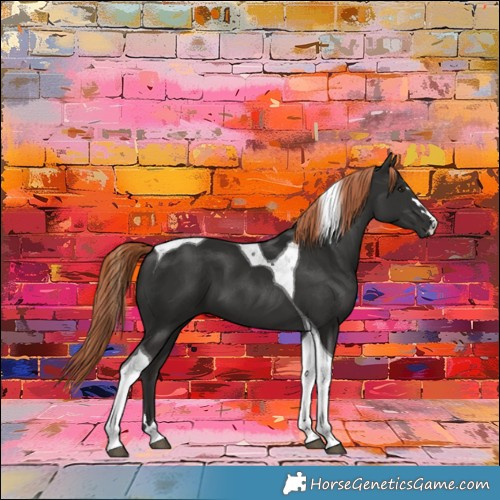Horse Color:Liver Chestnut Tobiano 