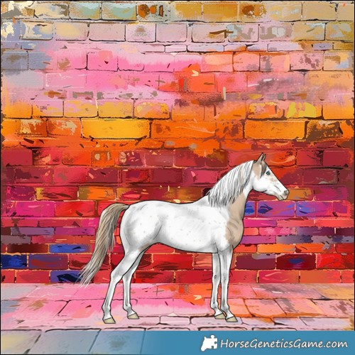 Horse Color:Smoky Creme Splash Tobiano Frame 