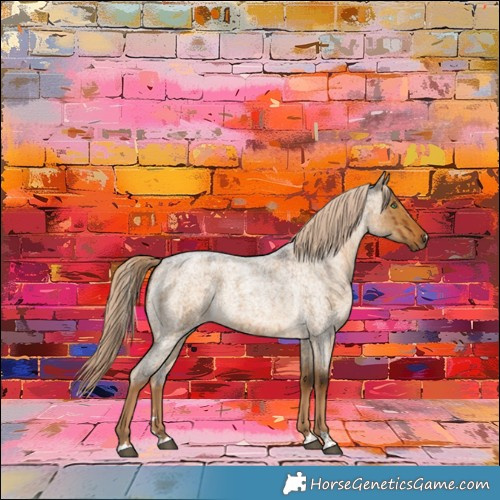 Horse Color:Chocolate Palomino Roan Dun Brindle