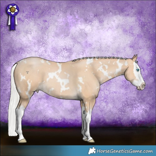 Horse Color:White Spotted Silver Smoky Black Pearl Splash 