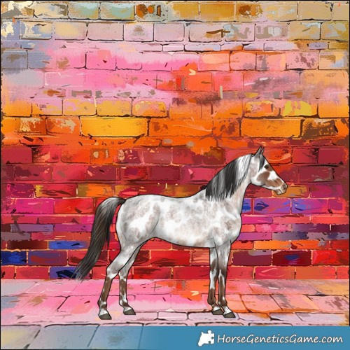 Horse Color:Liver Red Roan Skewed Appaloosa 