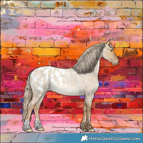 Horse Color:Chocolate Palomino Roan Dun Appaloosa