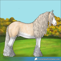 Horse Color:Palomino Roan Splash 