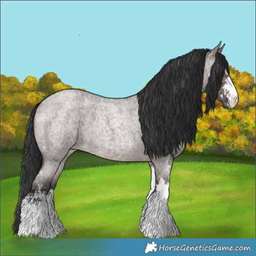 Horse Color:Brown Roan Dun Sabino 