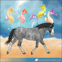 Horse Color:Blue Roan Sabino Splash and Blue Roan Sabino Splash
