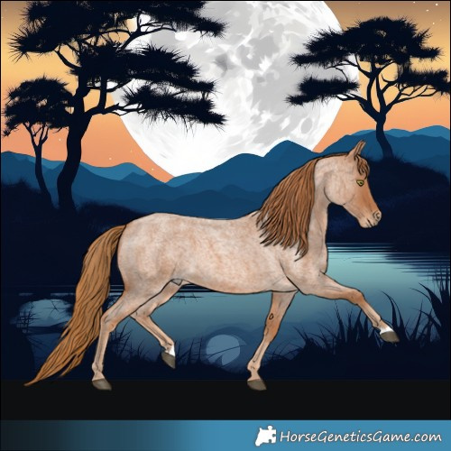 Horse Color:Red Roan 