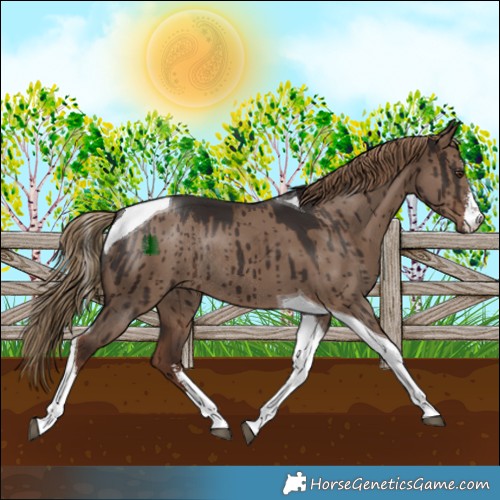 Horse Color:White Spotted Liver Red Dun Tobiano Rabicano Brindle 