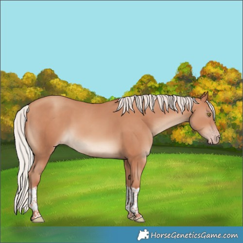 Horse Color:Silver Sable Champagne Tobiano 