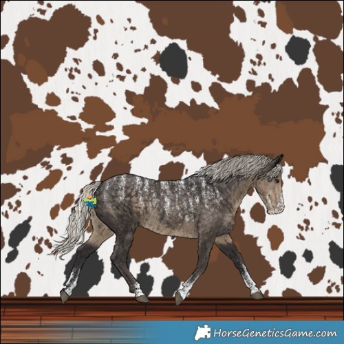 Horse Color:Powder White Silver Smoky Black Rabicano 