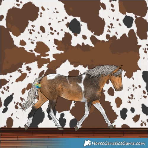 Horse Color:Silver Buckskin Tobiano 